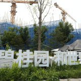 Country Garden était l'an dernier encore le plus gros promoteur de Chine. (Archives)